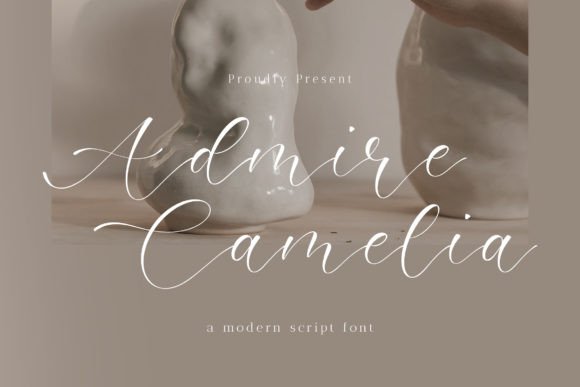 Admire Camelia: Elevate Your Visual Design