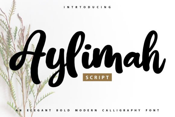 Aylimah Calligraphy Font: A Designer's Touch