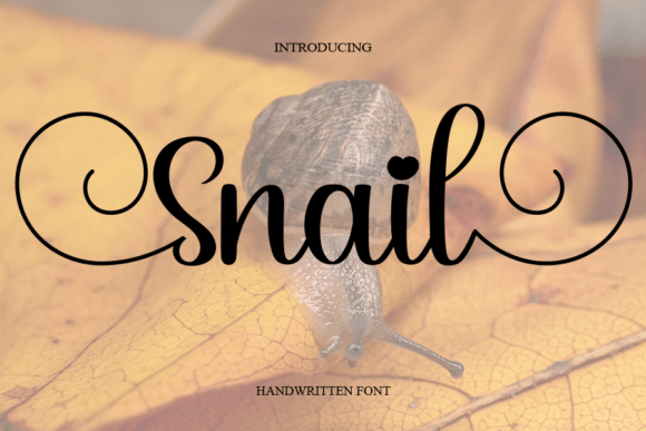 Snail: The Handwritten Font for Natural Design